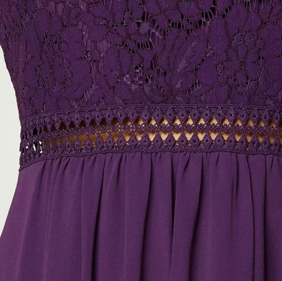 NWT-Royal Purple-Lace & Chiffon Dress - Picture 5 of 5